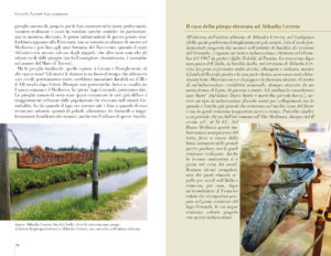 Martesana in mano – Lungo la ciclovia: luoghi, storie, leggende - immagine 3