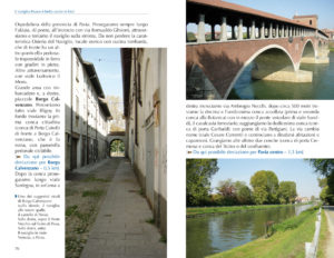 Naviglio Pavese e di Bereguardo belli anche in bici - immagine 2