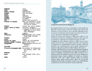 Barbapedana - immagine 2