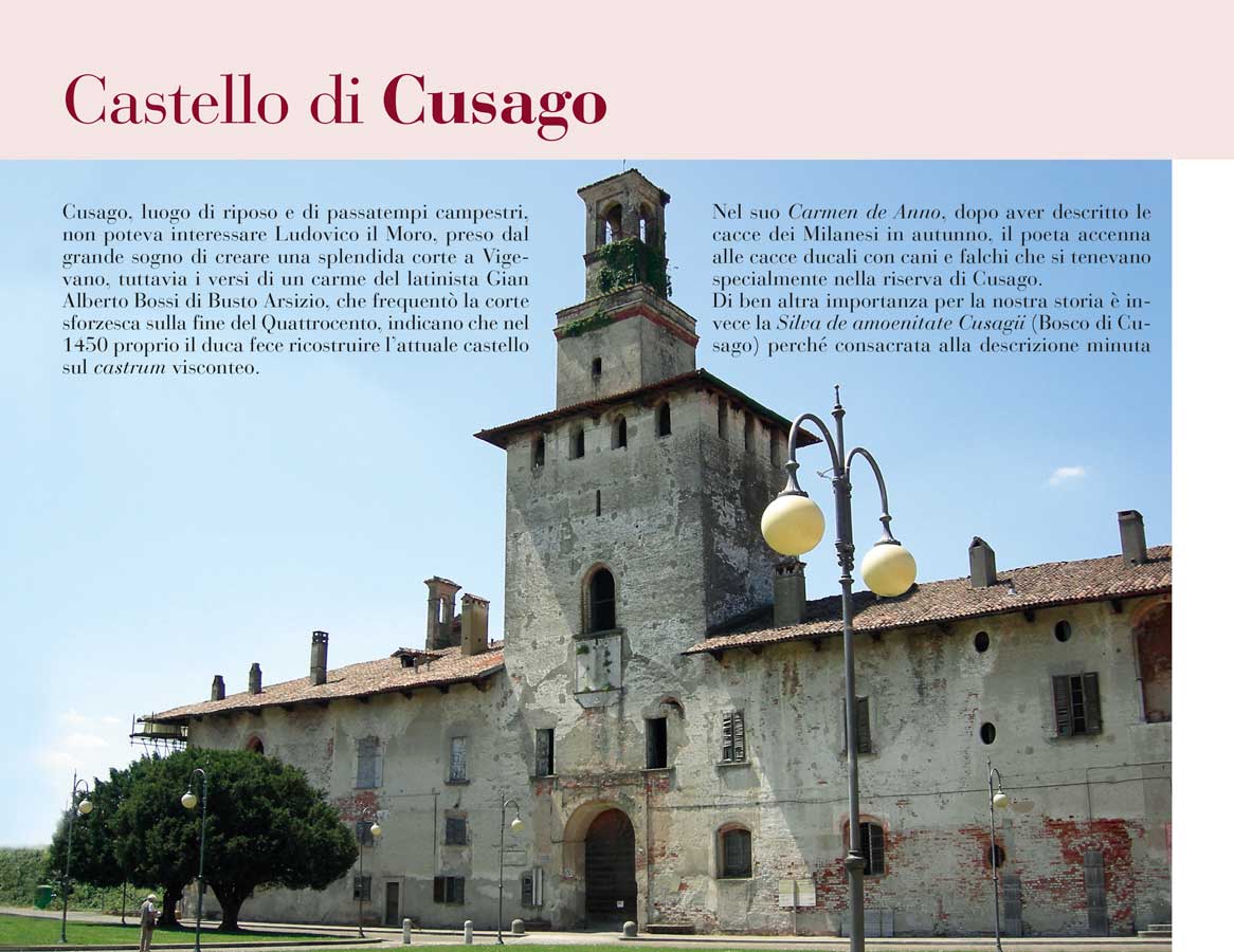 Castelli del Milanese - immagine 5