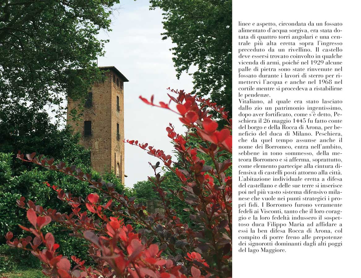 Castelli del Milanese - immagine 6